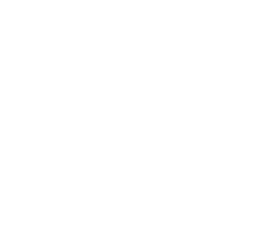 aia logo